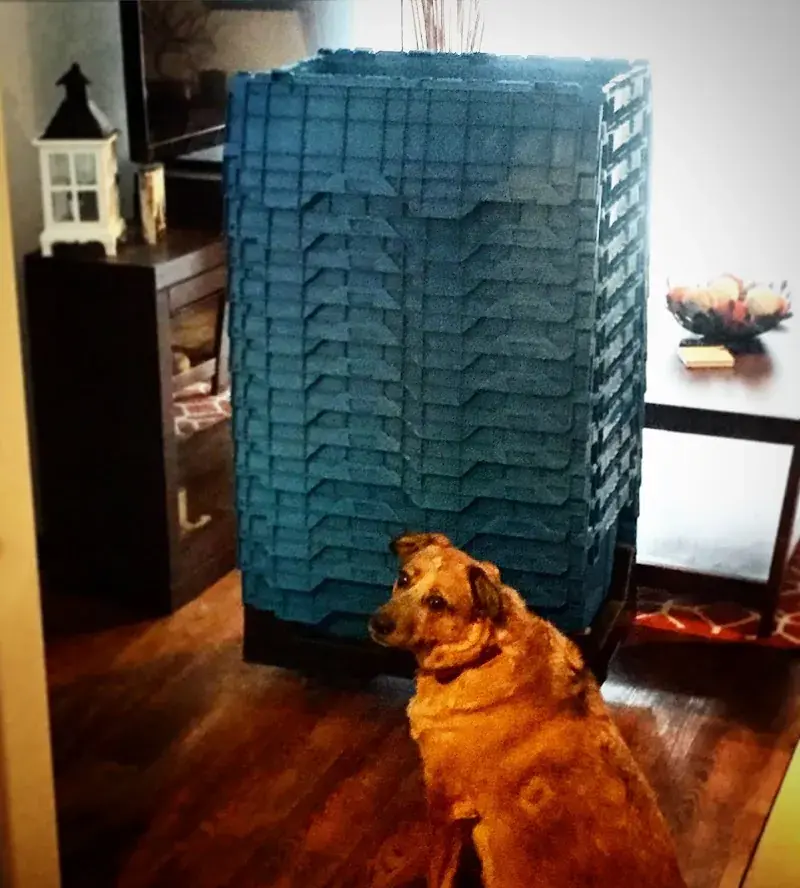 Bin-It in Nashville, TN