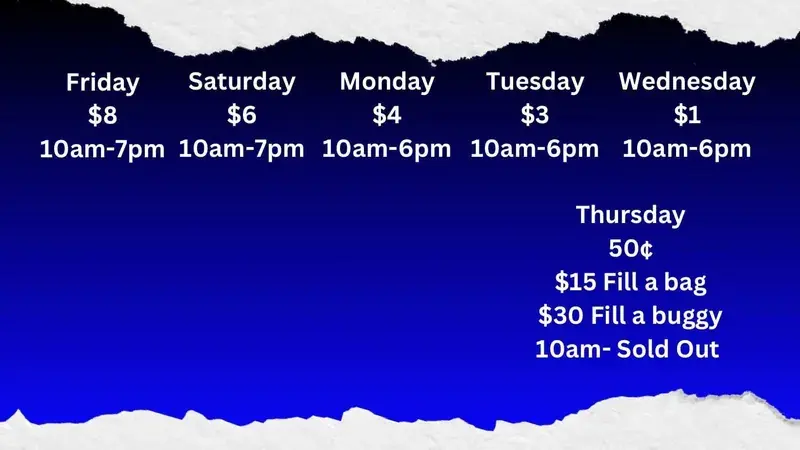 Buddy Bins in Glencoe, AL