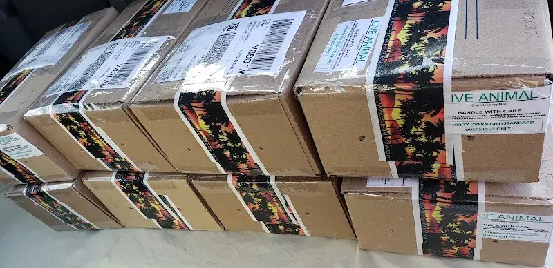 Frames 'N Things in Winnemucca, NV