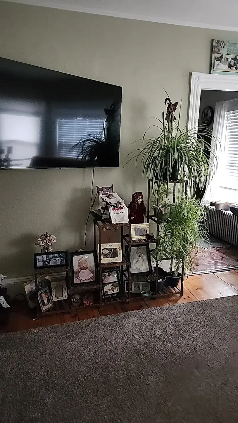 Buck Luck - the Bin Store in Scarborough, ME