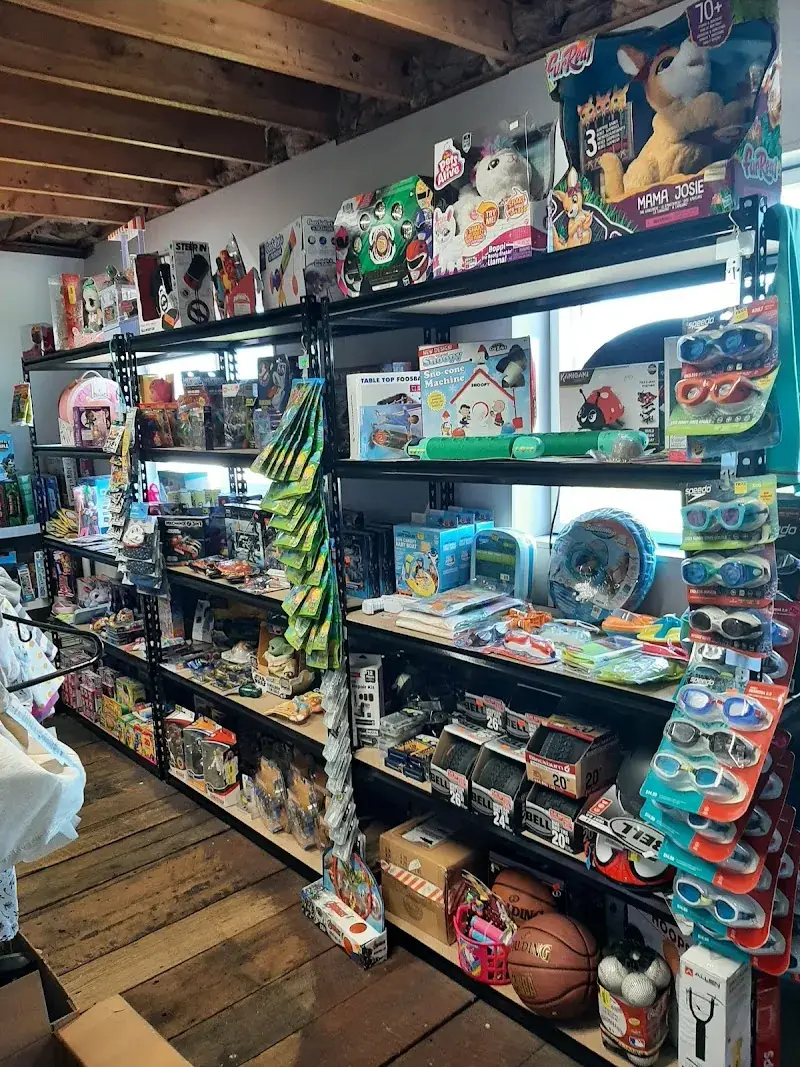 Chipps Bargain Barn in Bruceton Mills, WV