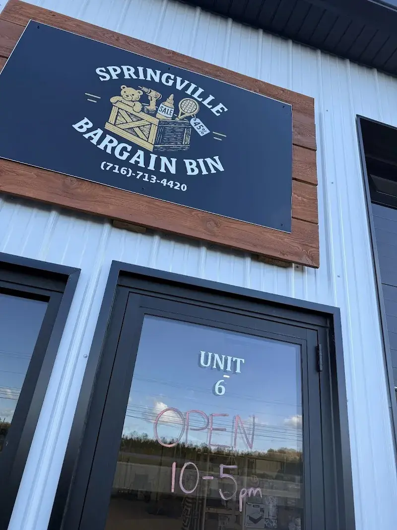 Springville Bargain Bin in Springville, NY